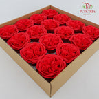 16 Bloom Austin Soap Flower Fiery Red - FBA088#3
