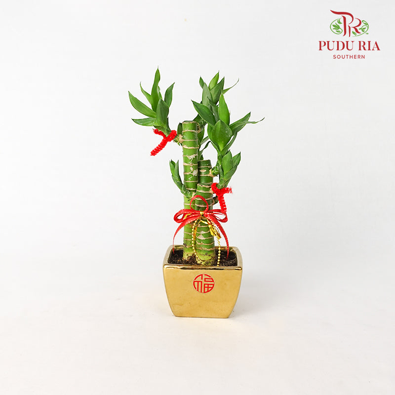CNY Potted Plant Arrangement 2024#19