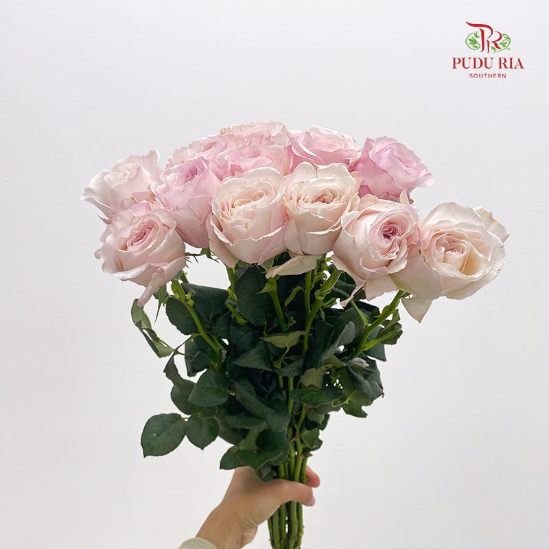 Rose Odeny Beryl Achieng - (10-12 Stems)
