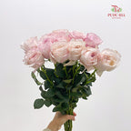 Rose Odeny Beryl Achieng - (10-12 Stems)