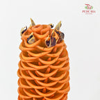 Shampoo Ginger - (2 Stems)