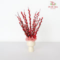 CNY Arrangement 2024#1