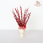CNY Arrangement 2024#1
