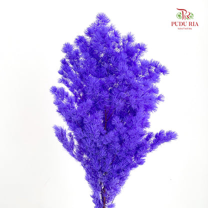 Preservative Asparagus Fern Dark Purple