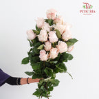 Rose Pomarosa - (15 Stems)
