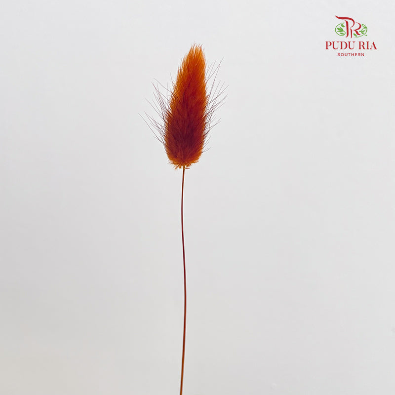 Dry Bunny Tails - Burnt Orange