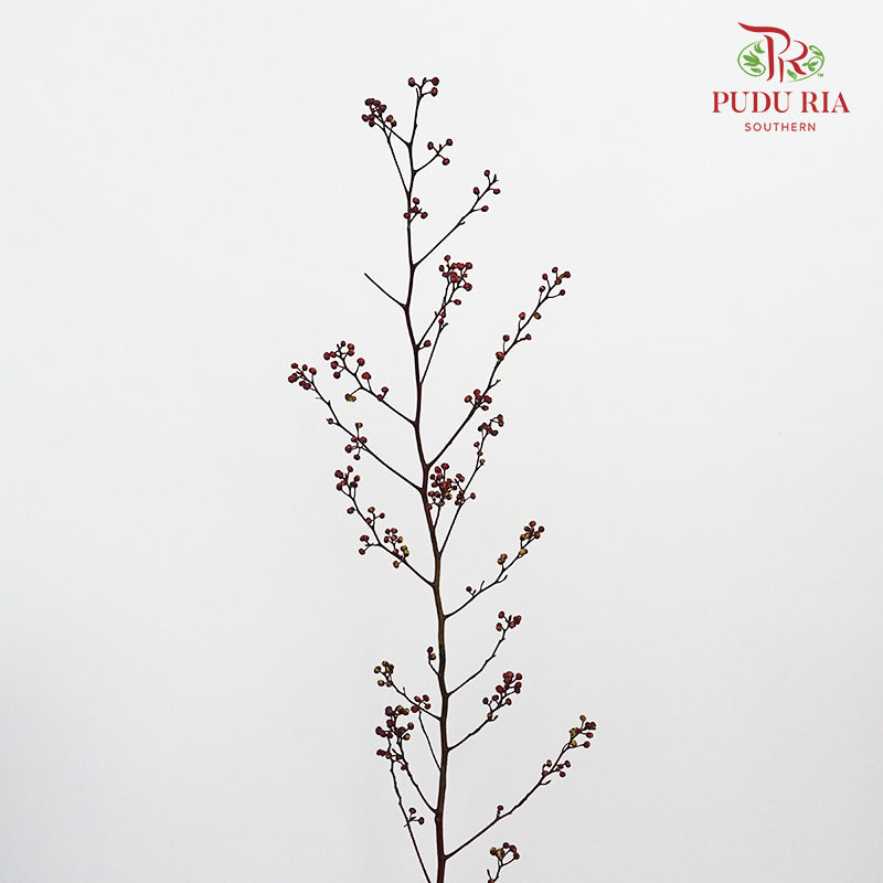 Deng Tai - Pudu Ria Florist Southern