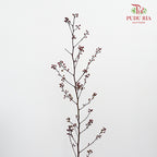 Deng Tai - Pudu Ria Florist Southern