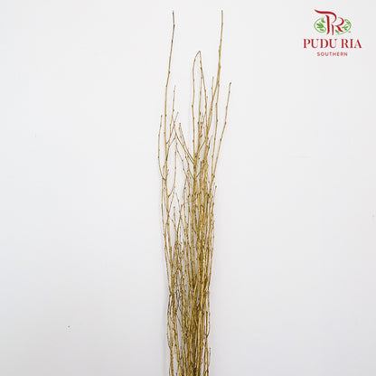 Birch Twist Gold - 120cm - Pudu Ria Florist Southern