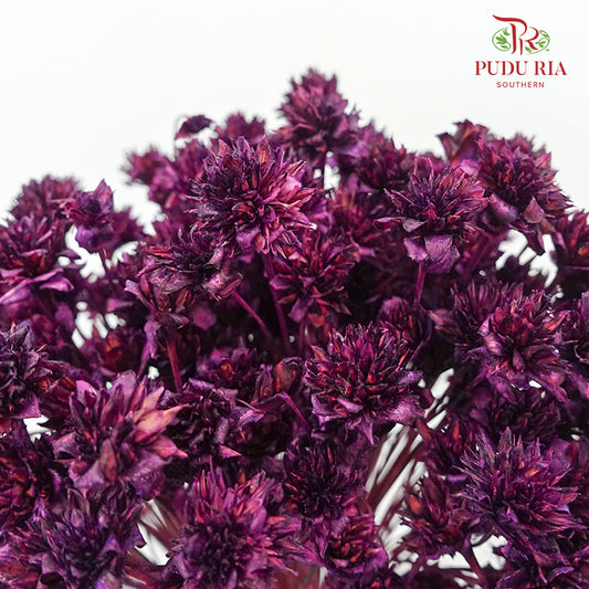 Dry Hill Flower - Purple - Pudu Ria Florist Southern