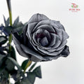Rose Mondial Dyed Yicaiflower - (8-10 Stems)