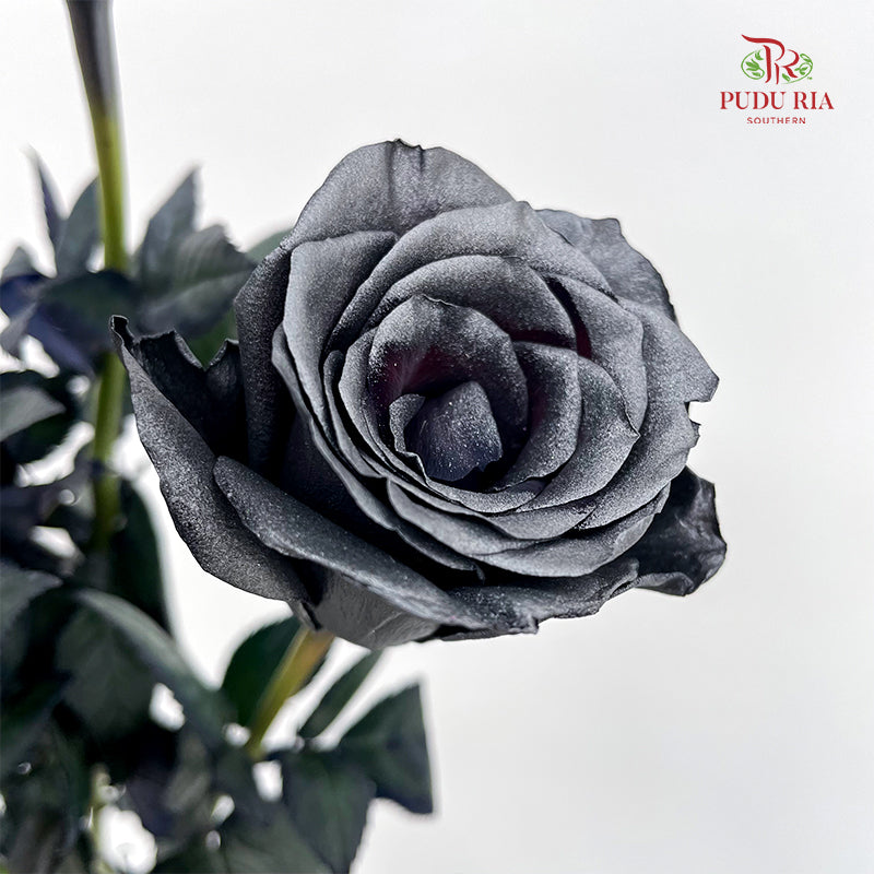 Rose Mondial Dyed Yicaiflower - (8-10 Stems)