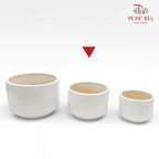 XR-886-H Pot White