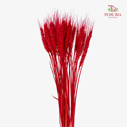 Dry Wheatgrass - Red