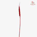 Dry Wheatgrass - Red