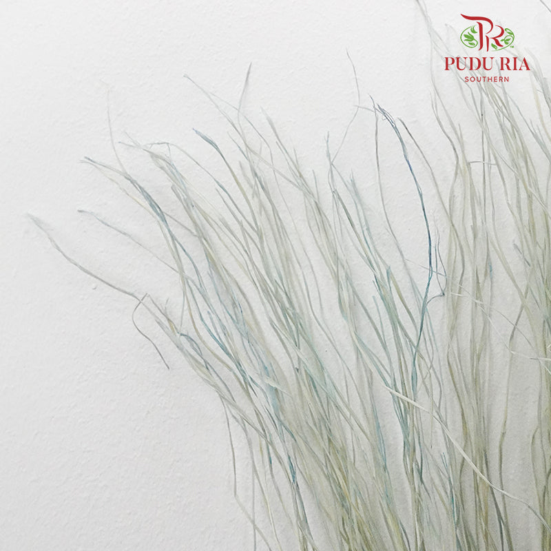 Dry Crazy Grass Blue - Pudu Ria Florist Southern