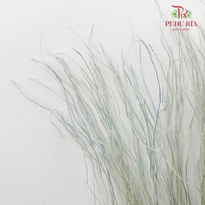 Dry Crazy Grass Blue - Pudu Ria Florist Southern