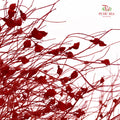 Dry Dream Grass Dark Red
