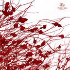 Dry Dream Grass Dark Red