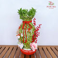 CNY Arrangement 2024#25