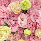 Eustoma Wave Light Pink - (12-15 Stems)