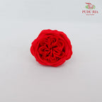 16 Bloom Austin Soap Flower Fiery Red - FBA088#3