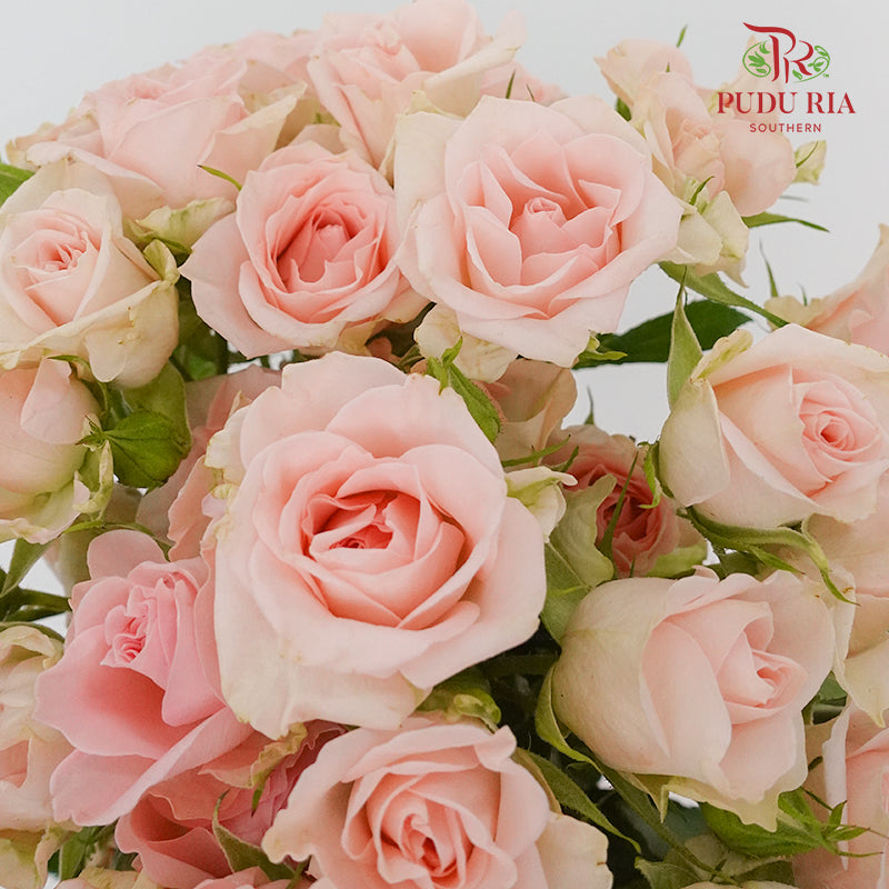 Rose Spray Light Pink (8-10 Stems) - Pudu Ria Florist Southern