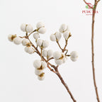 Sapium Sebiferum white 乌臼 - (Per Bundle)