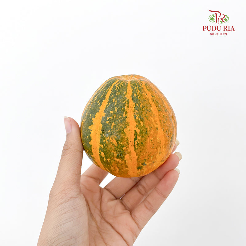 Pumpkin 观赏南瓜 - (Per Piece)