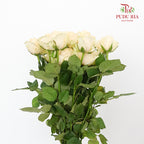 Rose Champagne (19-20 Stems) - Pudu Ria Florist Southern