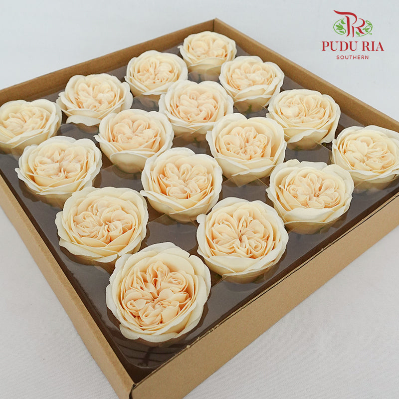 16 Bloom Austin Soap Flower Golden Haze - FBA088#4
