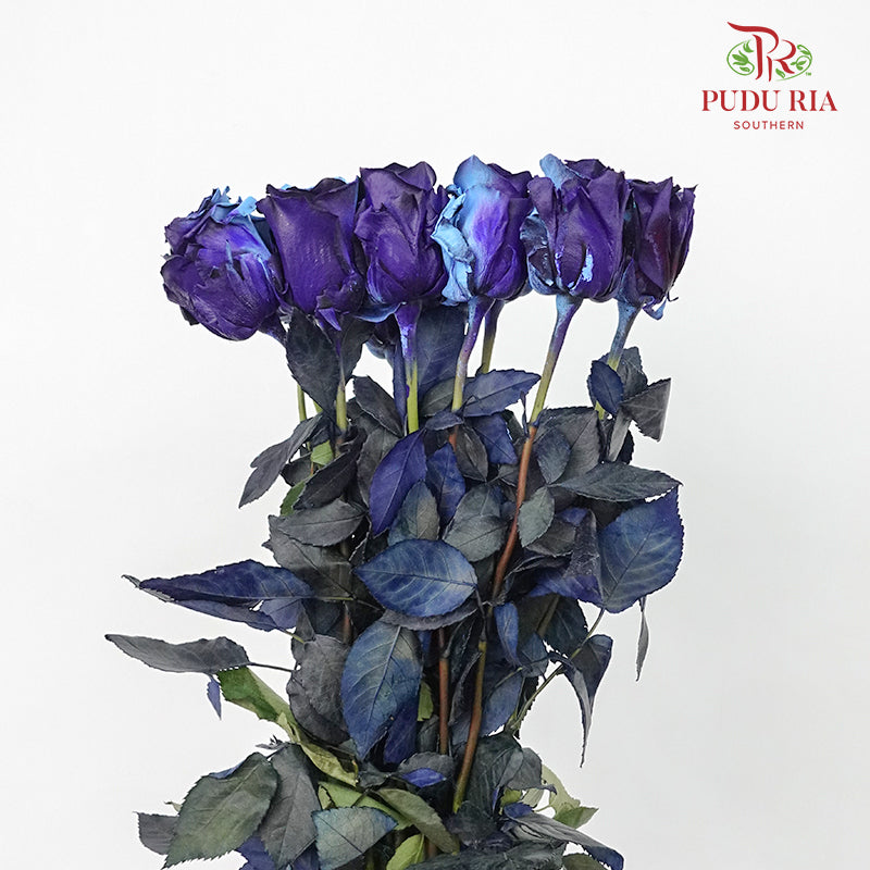 Rose Mondial Dyed Cosmic Blue (8-10 Stems) - Pudu Ria Florist Southern