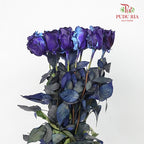 Rose Mondial Dyed Cosmic Blue (8-10 Stems) - Pudu Ria Florist Southern