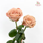 Rose Cappuccino 卡布奇诺玫瑰 - (8-10 Stems)