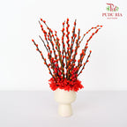 CNY Arrangement 2024#1