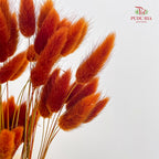 Dry Bunny Tails - Burnt Orange