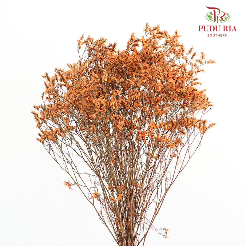 Dry Caspia - Orange