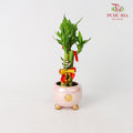 CNY Potted Plant Arrangement 2024#11
