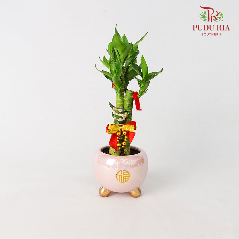 CNY Potted Plant Arrangement 2024#11