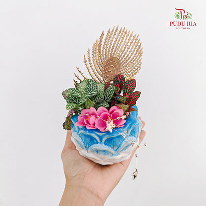 Hari Raya Arrangement - Fittonia