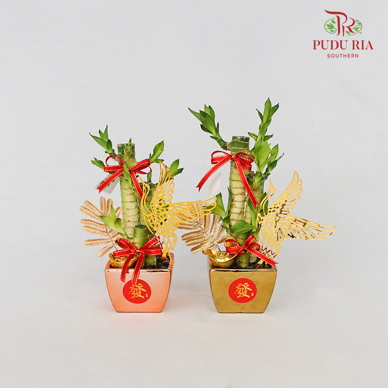 CNY Potted Plant Arrangement 2024#39