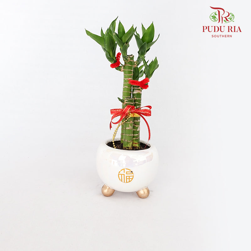 CNY Potted Plant Arrangement 2024#11