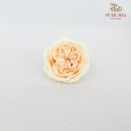 16 Bloom Austin Soap Flower Golden Haze - FBA088#4