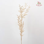 Dry Ruscus Dyed - Natural