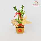 CNY Potted Plant Arrangement 2024#39