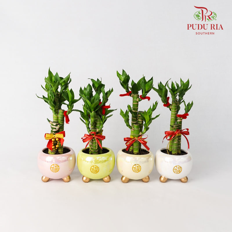 CNY Potted Plant Arrangement 2024#11