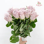 Rose Menta - (8-10 Stems)