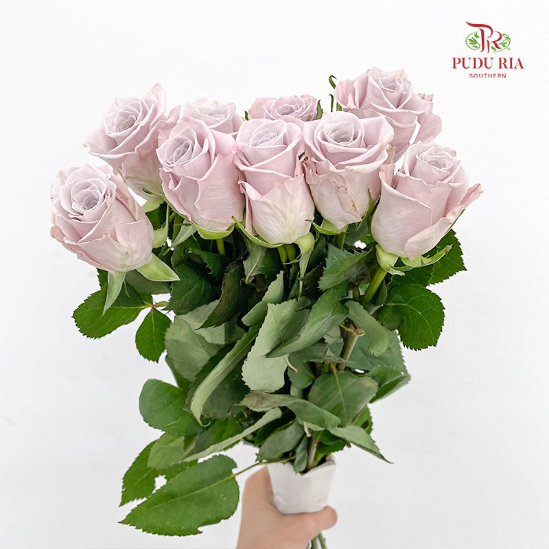 Rose Menta (8-10 Stems)