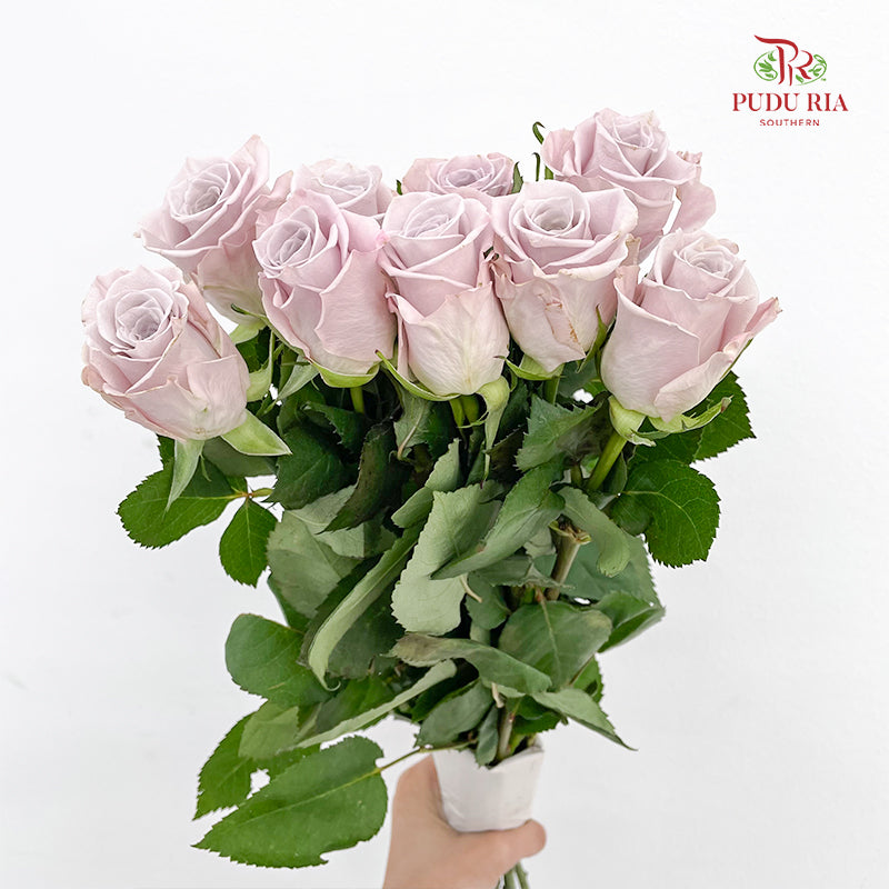 Rose Menta - (8-10 Stems)