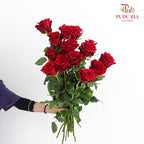 Rose Explorer - (15 Stems)